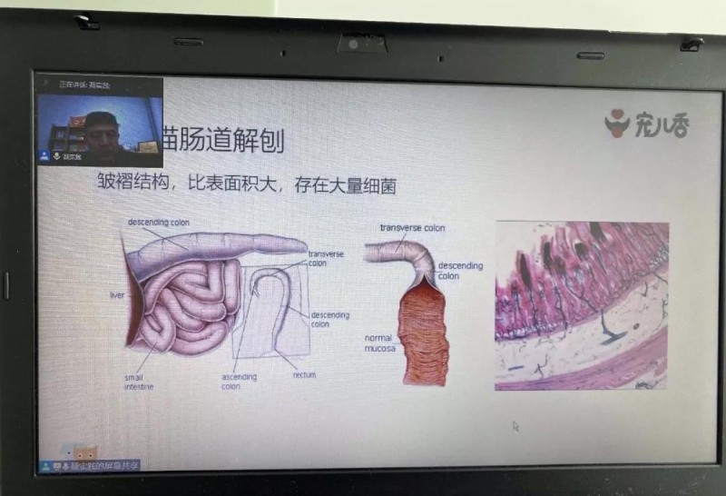 微信图片_20210115083600