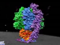 3DʾATPase (27)