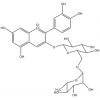 ʸ-3-ܿ Cyanidin 3-rutinoside chloride