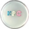 KPC