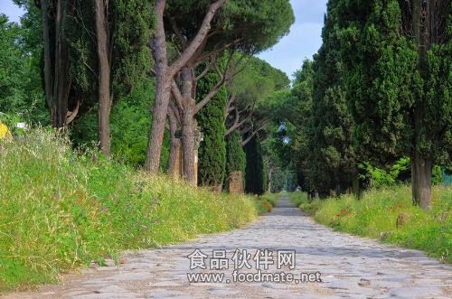 Via-Appia-Rome