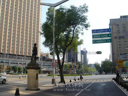 Paseo-de-la-Reforma-Mexico-City-Mexico