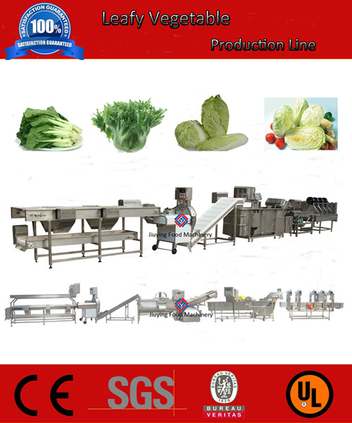 leafy vegetable production line_