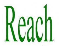 ݸREACH֤224׼