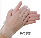 SP紫竹一次性pvc手套 透明塑料胶手 防油实验室手 劳保手套